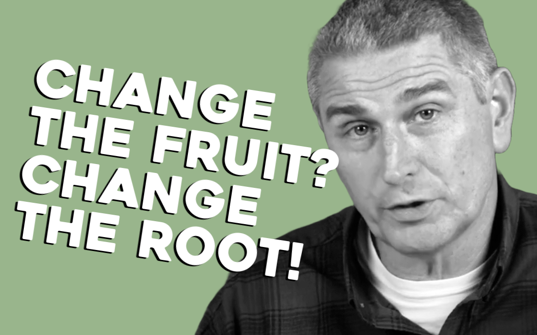 To Change the Fruit, Change the Root